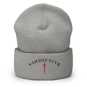 Grey Vindictive Crusader Beanie